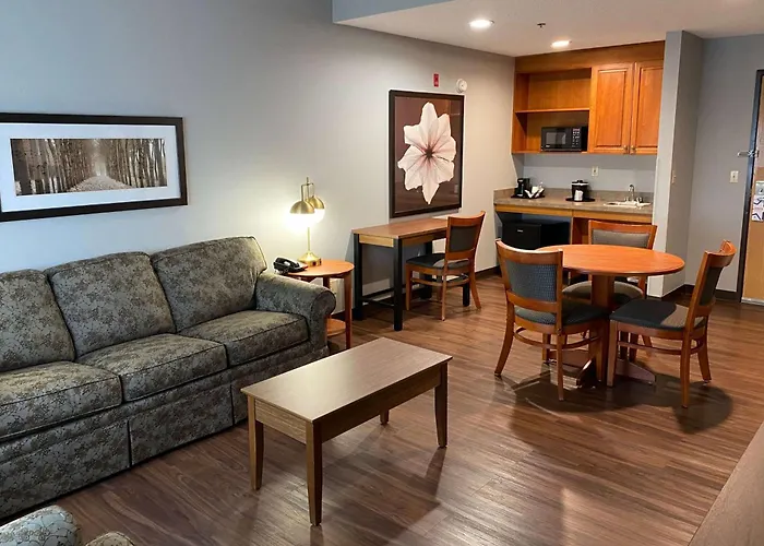 Discover Rug Hooking Inspiration from Around the World